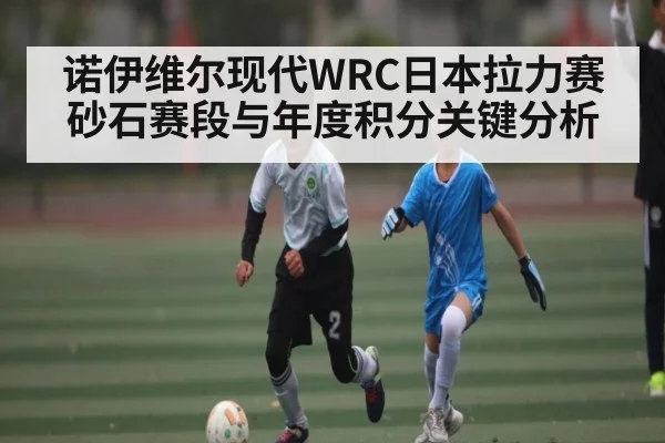 诺伊维尔现代WRC日本拉力赛砂石赛段与年度积分关键分析