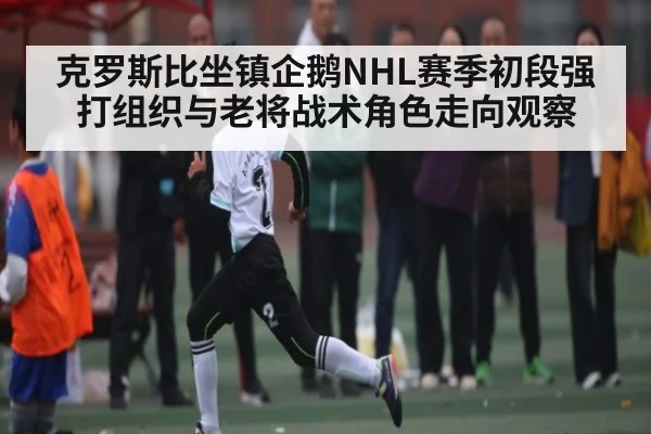 克罗斯比坐镇企鹅NHL赛季初段强打组织与老将战术角色走向观察